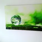 Odyssey * Spalato